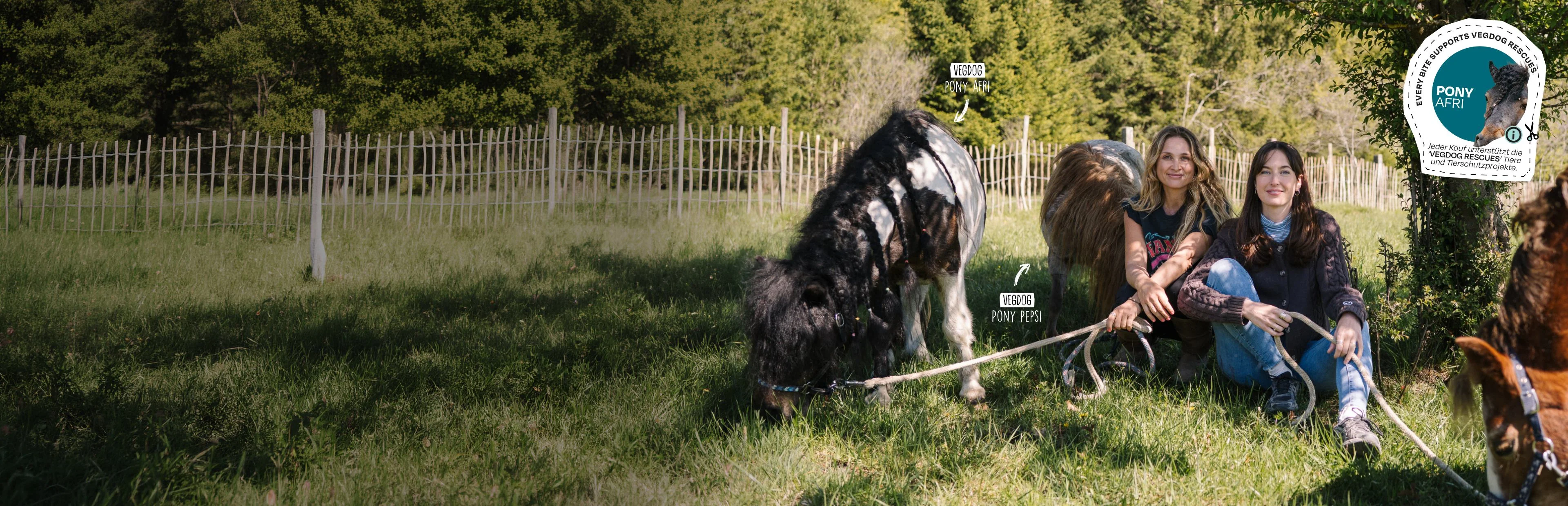 Veganer Genuss für gesunde Hunde
