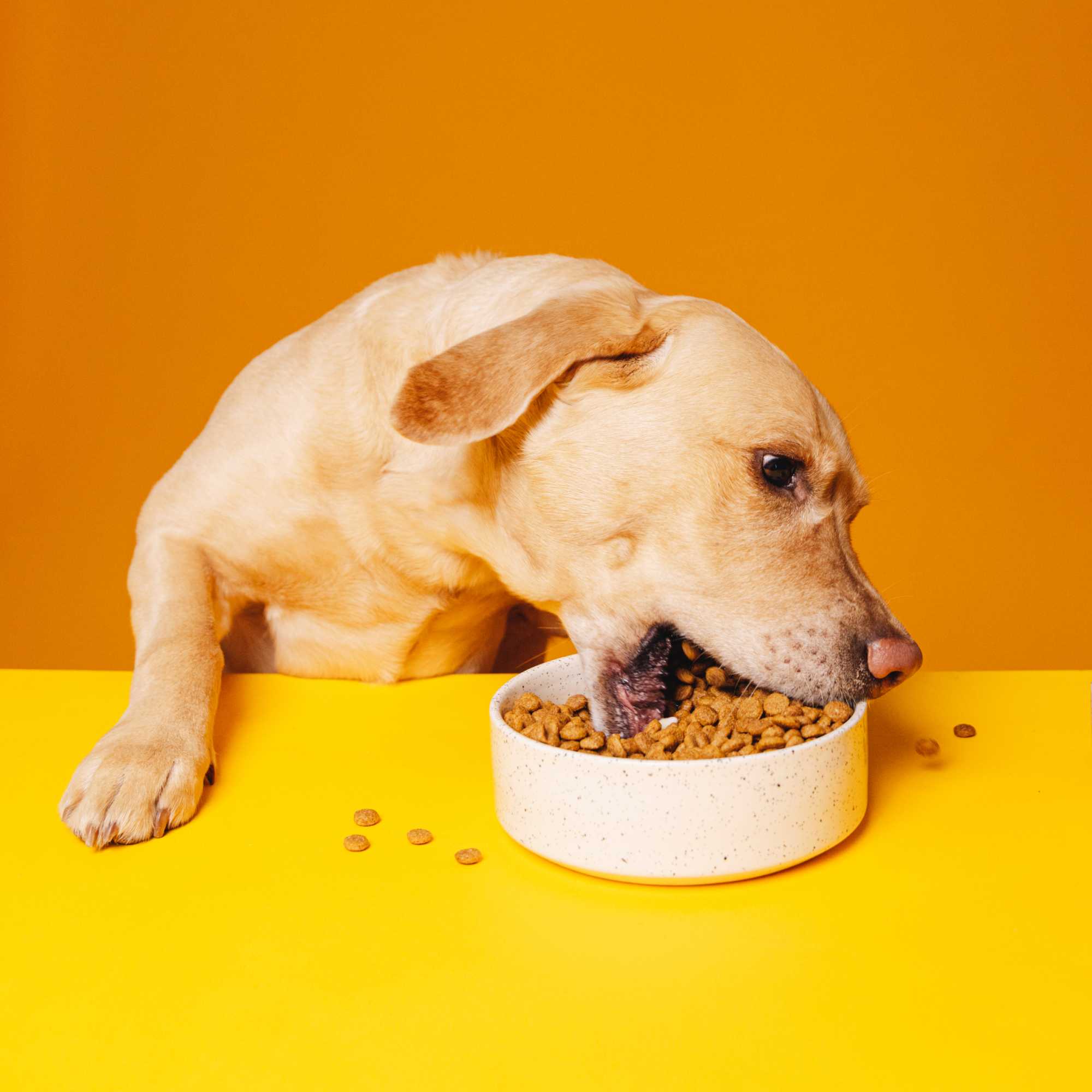SIMPLY CRUNCH - Image 4