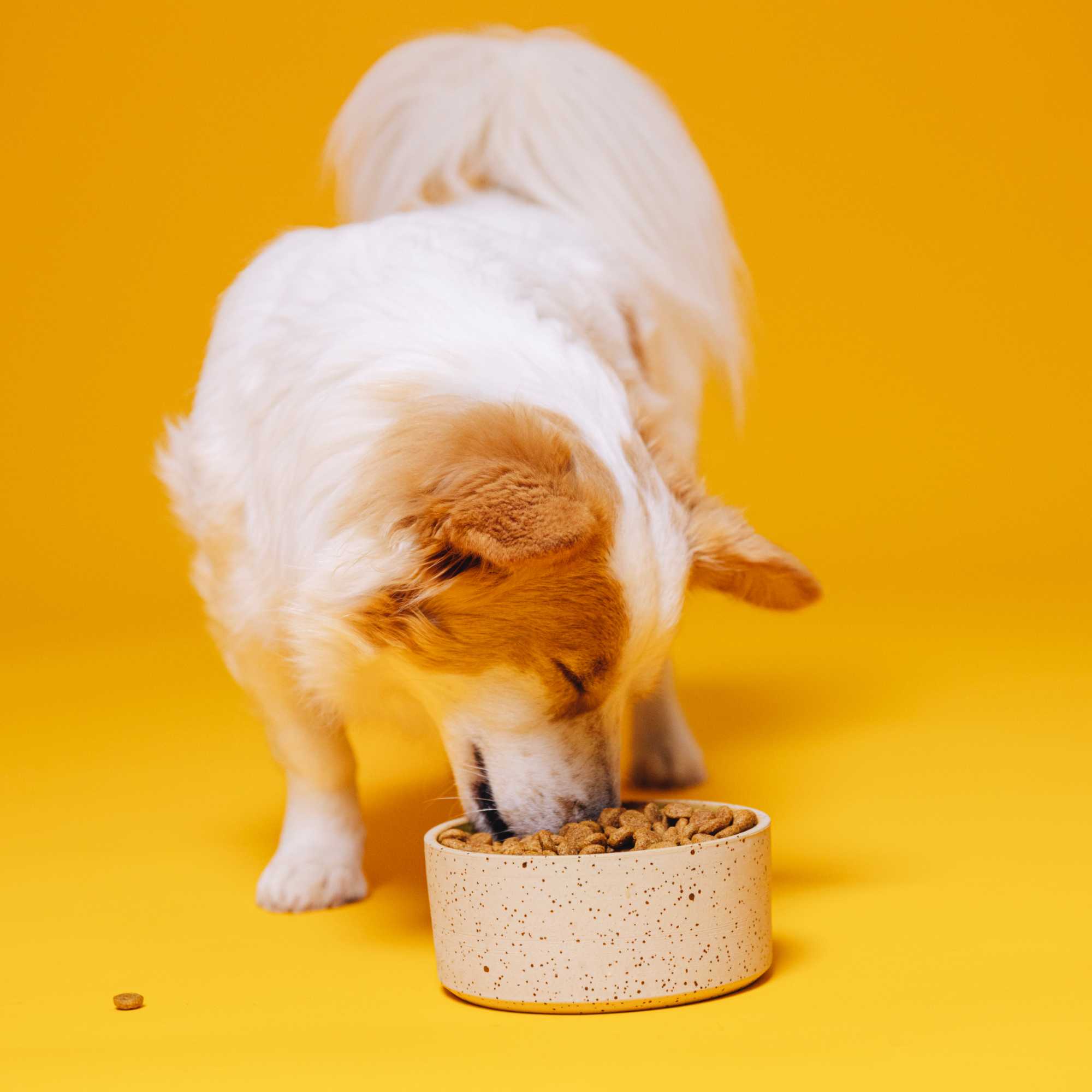 SIMPLY CRUNCH - Image 5