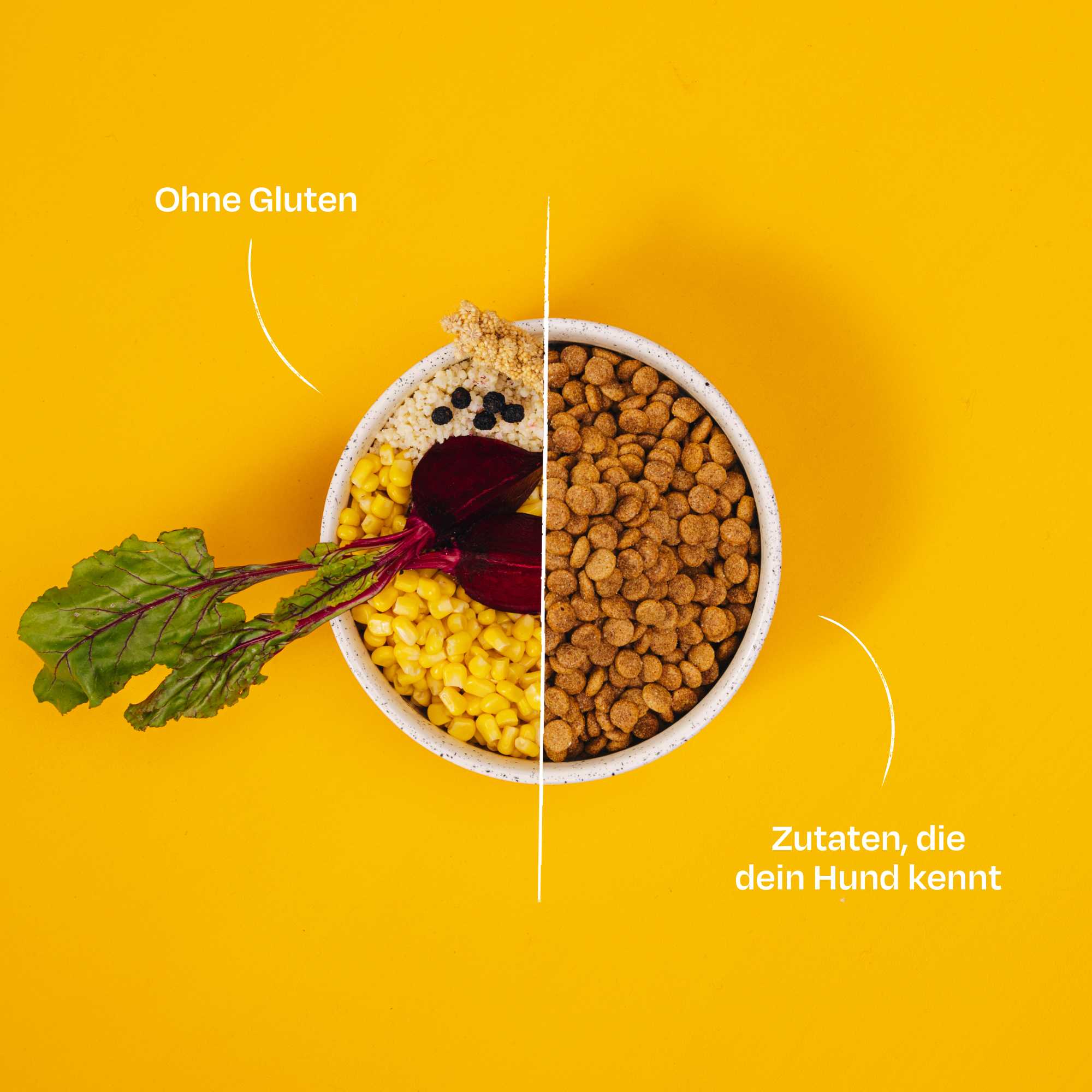 SIMPLY CRUNCH - Image 7