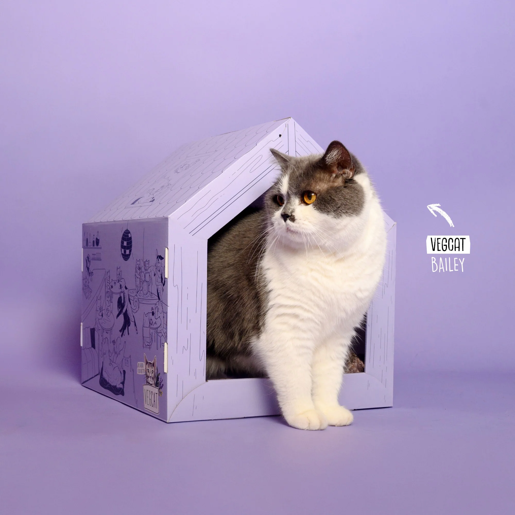 VEGCAT Clubhouse - Image 3