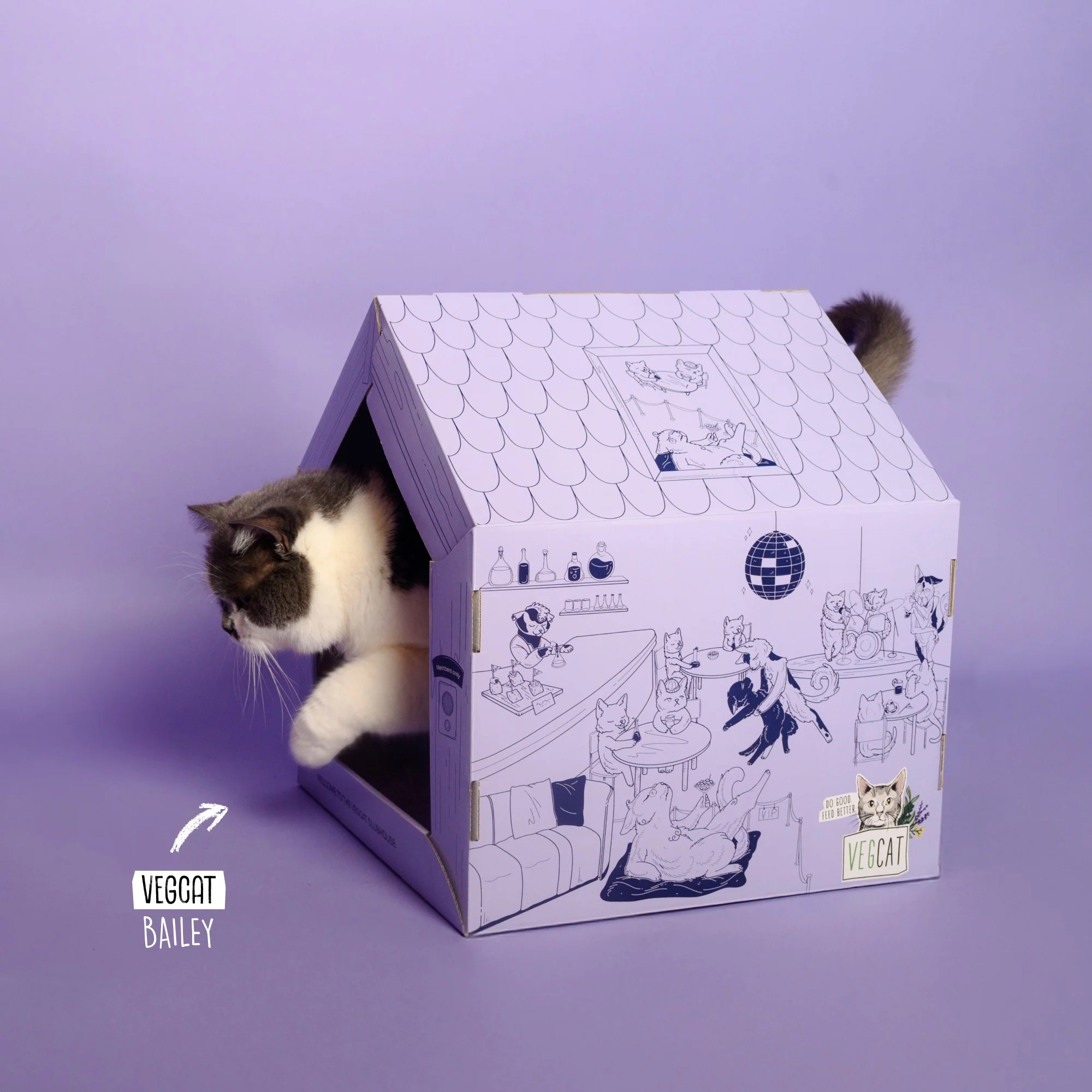 VEGCAT Clubhouse - Image 4