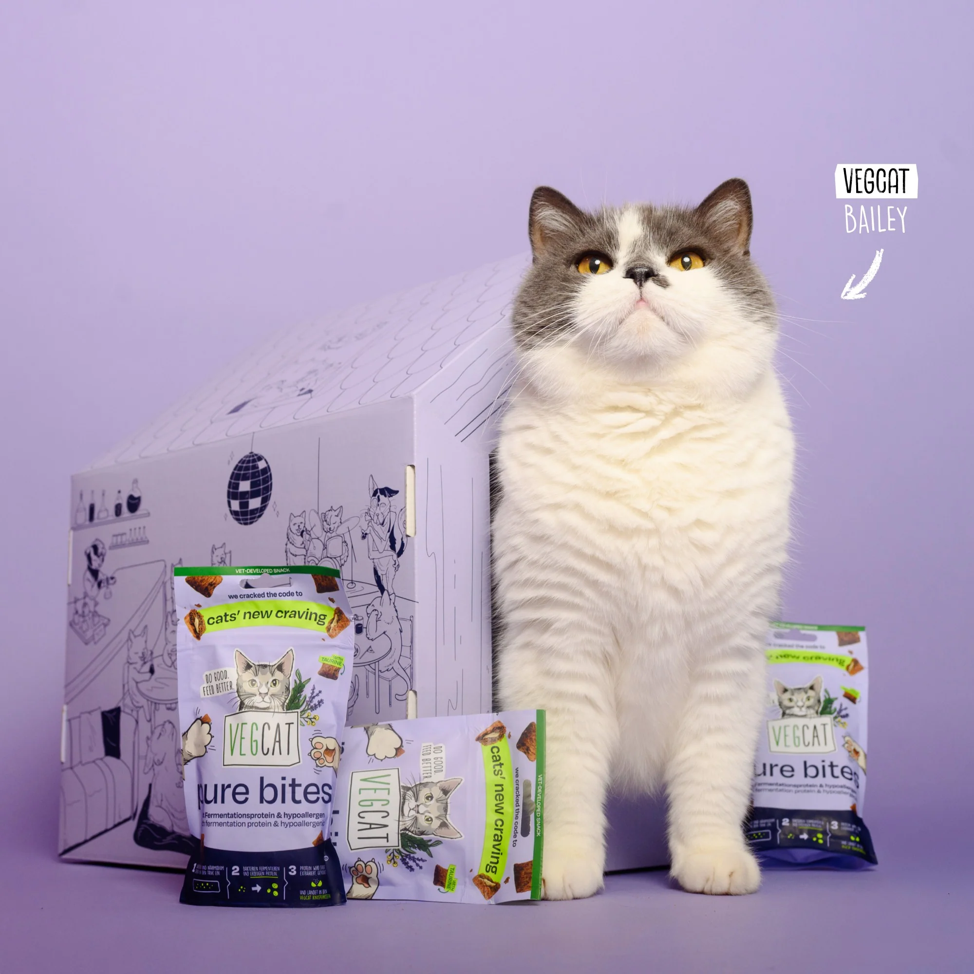 VEGCAT Clubhouse & Bites - Image 3
