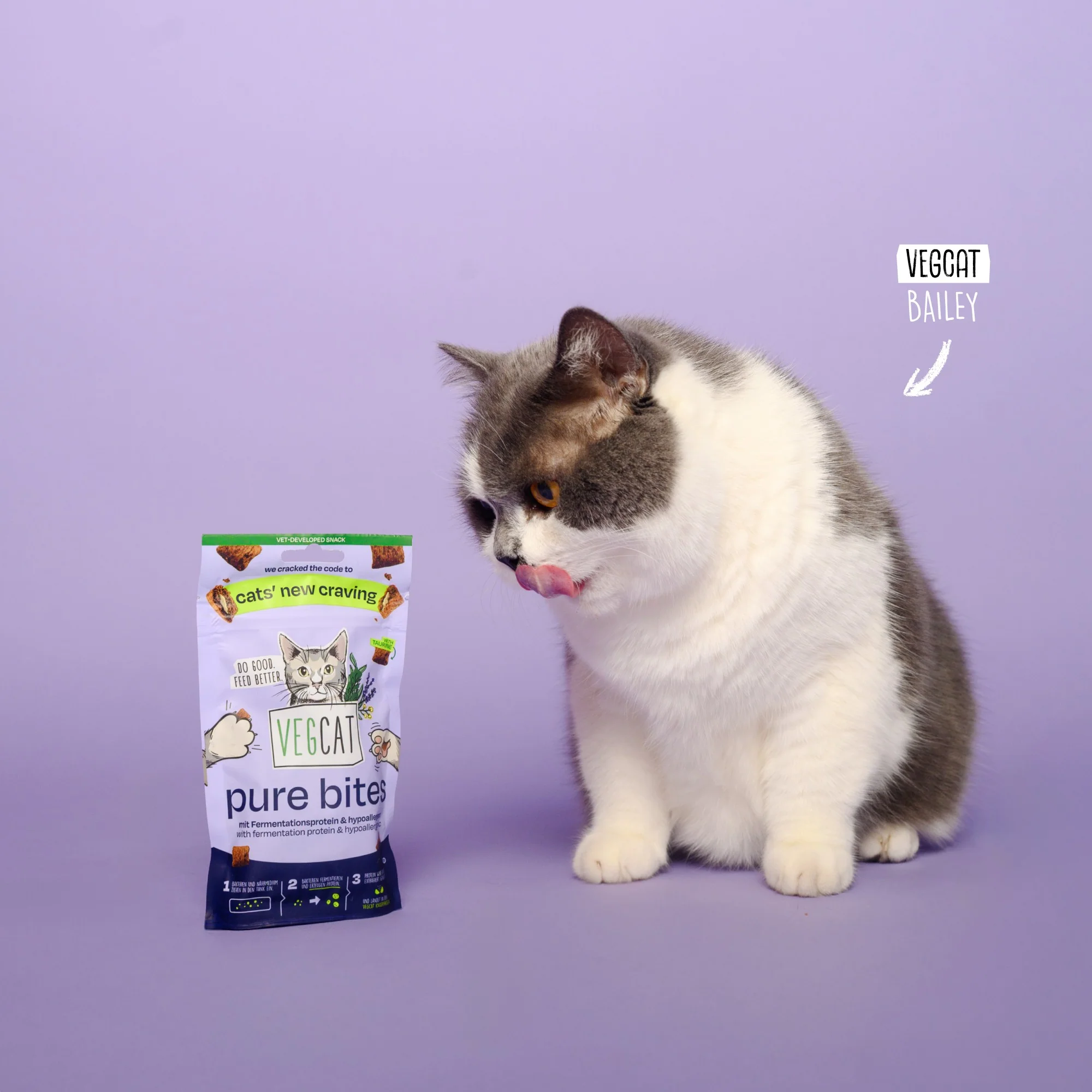 VEGCAT Pure Bites - Image 4