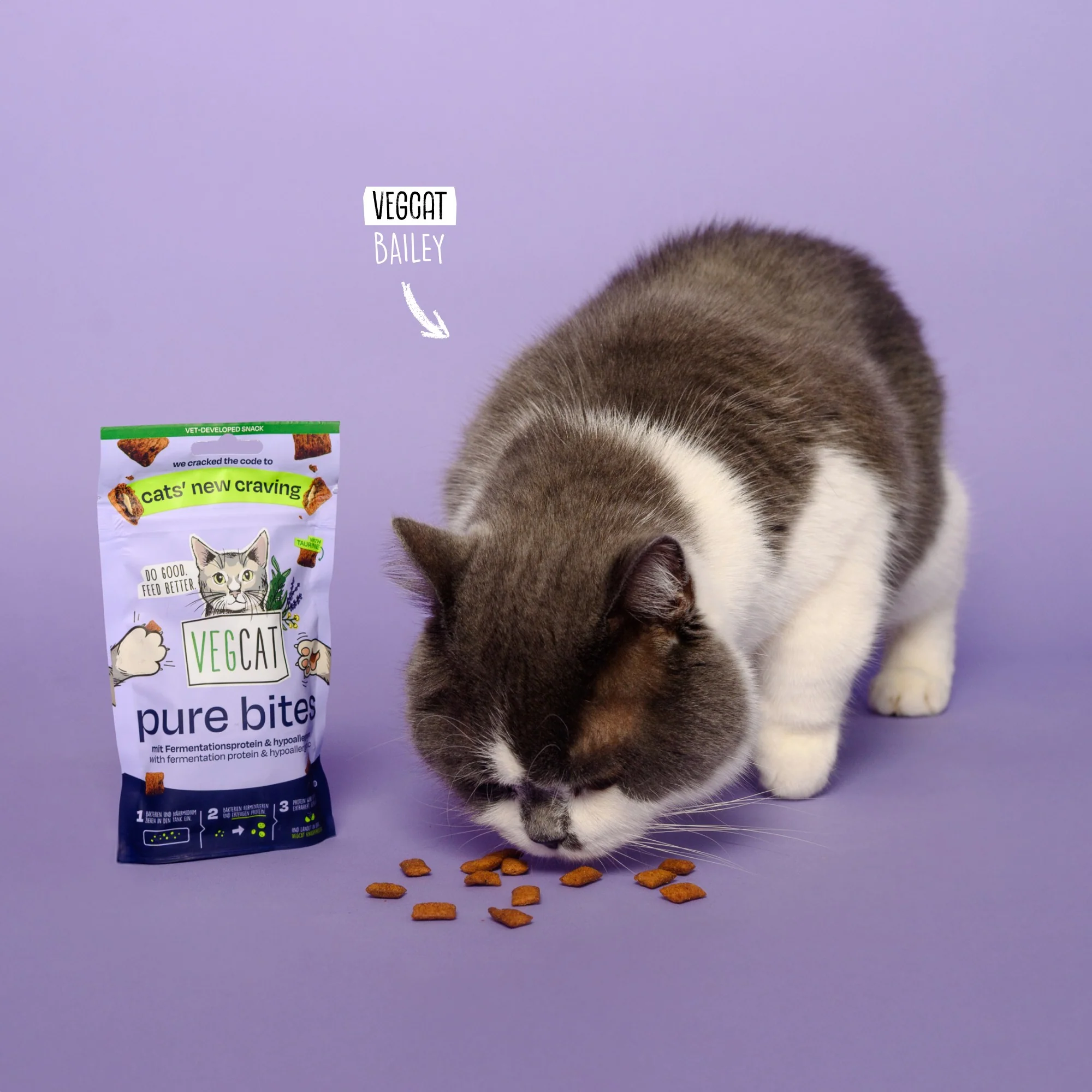 VEGCAT Pure Bites - Image 5